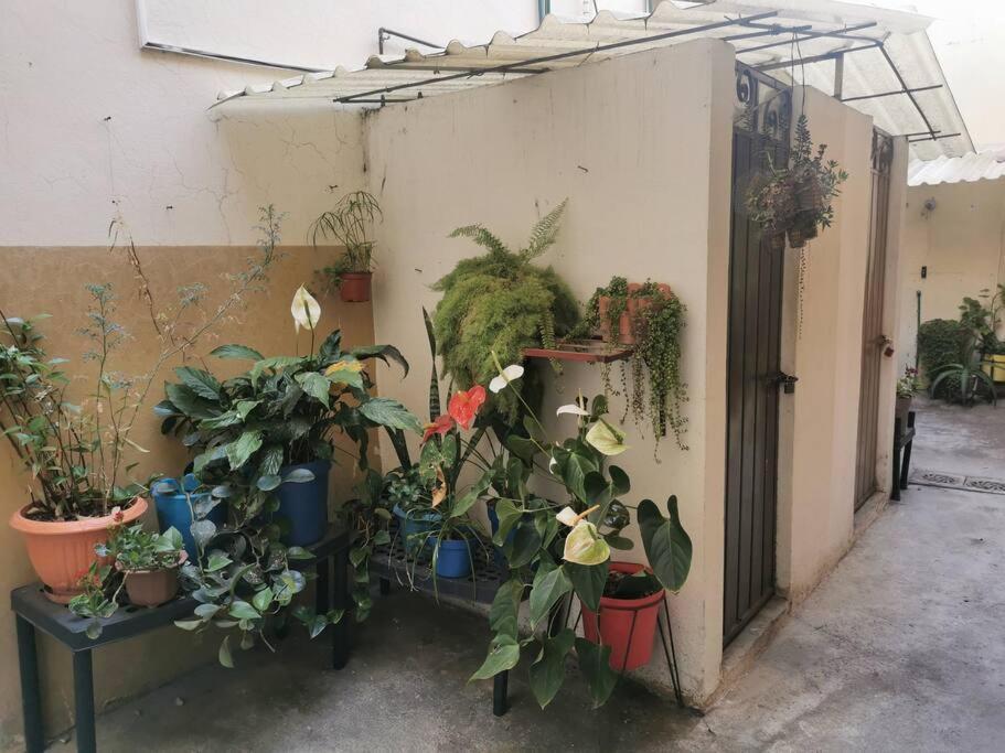 Departamento Hipster Zona Turistica Centro Apartamento Morelia